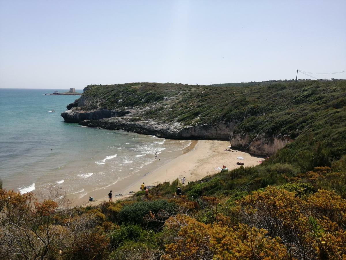 Calypso Casa